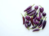 Fresh purple eggplants and hot chili peppers arranged on white background. Suitable for food photography, cooking blogs, recipe websites, and culinary design projects.
