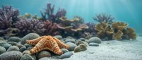 Orange starfish resting on sandy ocean floor with vibrant coral reef background in tropical marine environment for educational and nature content.