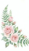 Watercolor arrangement of soft pink roses with green fern leaves and buds on white background, isolated botanical illustration suitable for wedding invitations, greeting cards, and design projects.