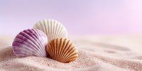 Colorful seashells on sandy beach with soft pink sunset sky background creating peaceful coastal scene for summer vacation and tropical travel concepts.