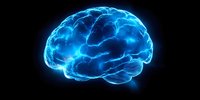 Glowing blue brain hologram on black background shows neural connections and brain activity, suitable for medical and technology presentations.