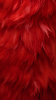 Vibrant red feathers creating luxurious texture background for fashion, costume design, or abstract art projects.