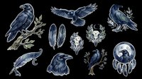 Dark raven clipart set with feathers, skull, and moon elements, isolated on transparent background. Ready for stickers, t-shirt design, and print on demand.
