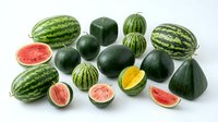 Assorted melons and watermelons with whole and sliced varieties displaying red and yellow flesh, isolated on white background for culinary and design use.