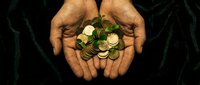 Cupped hands holding gold coins with green sprouts growing from them, symbolizing financial growth and sustainable investment on dark background.