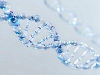 Translucent blue DNA double helix structure with water droplet effect against light background, showing genetic research and molecular biology concept.