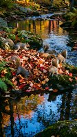 Group of gray squirrels foraging among vibrant fallen autumn leaves on mossy rocks beside a reflective forest stream in fall season.