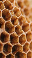 Natural honeycomb structure with hexagonal cells showing golden wax texture and organic geometric patterns for food and nature themed designs.
