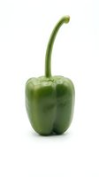 Fresh green bell pepper with stem isolated on white background, suitable for food, cooking, nutrition, and healthy eating design projects.
