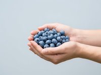 Hands holding fresh blueberries against neutral background, showcasing organic berries for healthy eating, nutrition, and food photography concepts.