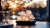 Glowing white paper flowers illuminated on dark wooden plate against sunset background with bokeh lights creating magical atmosphere for home decor and relaxation.