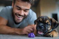 Caucasian man with beard smiling while playing with adorable boxer puppy and purple toy on floor. Joyful moment of pet companionship.