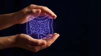 Protective hands surrounding glowing purple intestines hologram representing digestive health care and gastrointestinal medical protection concept.