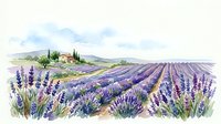Watercolor lavender field landscape with a rustic farmhouse, rolling hills, and vibrant purple blooms, isolated on white background for design use.