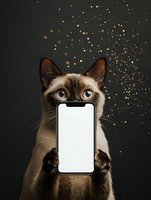 Siamese cat holding blank smartphone screen with golden bokeh lights background for mobile app mockup and technology advertising campaigns.