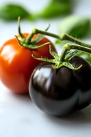 Fresh black and red tomatoes with green stems and leaves on white background, macro shot showing detailed texture and natural colors for food photography.