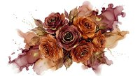 Watercolor roses in warm autumn tones with artistic paint splashes and golden leaves on white background for romantic designs and floral decorations.