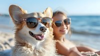 Smiling chihuahua wearing sunglasses relaxing on sunny beach with young Asian woman. Reflection in dog's glasses shows ocean view. Summer vacation with pets concept.