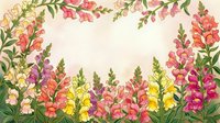 Watercolor floral border frame with colorful snapdragons and green foliage on cream background for spring garden design projects and botanical artwork.