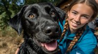 Happy young woman with braided hair embracing black labrador retriever dog outdoors in natural sunlight creating warm bonding moment between pet and owner.