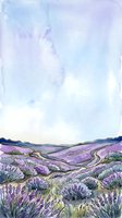 Lavender field landscape with rolling hills and blooming purple flowers under soft blue sky, suitable for nature backgrounds, wall art, and botanical designs.