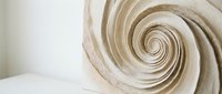 Elegant cream spiral sculpture with flowing curves creates sophisticated modern art piece for luxury interior design and contemporary home decor applications.