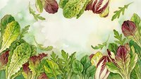 Fresh mixed salad greens and leafy vegetables arranged on white background, suitable for food, nutrition, cooking, and healthy eating design projects.