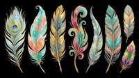 Feather collection with decorative patterns isolated on transparent background, ready for t-shirt design, clipart, stickers, sublimation and print-on-demand projects.