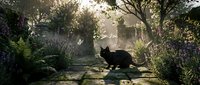 Black cat walking through misty garden path surrounded by purple flowers, green foliage, and sunlit trees, evoking mysterious and atmospheric mood for fantasy and nature themes.