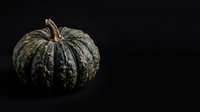 Aged dark green pumpkin with textured ridged surface and stem isolated on black background, suitable for autumn harvest designs and seasonal marketing materials.