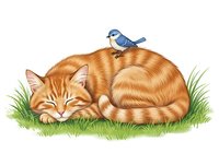 Orange tabby cat sleeping on grass with small blue bird perched on its back, isolated on white background for design use, clipart, children's illustrations, greeting cards, and educational materials.