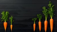 Fresh orange carrots with green tops arranged in ascending size order on dark wooden background, showing growth and progression concept.