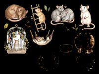 Cute rats and mice collection with cage, ladder, and decorative elements isolated on transparent background, ready for t-shirt designs, stickers, clipart, and print-on-demand products.