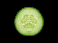 Cucumber slice isolated on transparent background, ready for culinary design, food packaging, recipe graphics, t-shirt prints, stickers, and print-on-demand products.