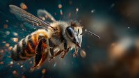 Macro close-up of honeybee in flight with detailed wings and body structure against dark background with bokeh light effects for nature and wildlife content.