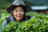 Mature Asian woman farmer in sun hat smiling while harvesting fresh organic lettuce in sustainable vegetable garden, representing healthy local agriculture.