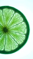 Vibrant lime slice with translucent green flesh and detailed segments isolated on white background, suitable for beverage, food, and design projects.