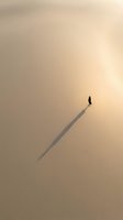 Silhouetted figure walking along diagonal shadow line against warm beige background, representing journey, progress, and determination for business and motivational concepts.