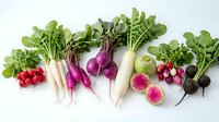 Fresh colorful root vegetables and radishes with green leaves arranged in row on white background for healthy cooking and farm market display.