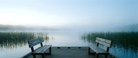 Wooden dock with benches extending into misty lake surrounded by tall reeds at dawn, creating peaceful waterfront scene for relaxation and nature meditation.
