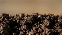 Rich dark brown soil with rough textured clumps and particles against warm beige background for agricultural and gardening projects.
