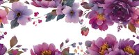 Watercolor purple peony flowers with green leaves on white background, floral border arrangement for wedding invitations and greeting cards.