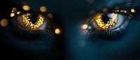 Mystical glowing golden cat eyes with bokeh light effect on dark background, creating supernatural fantasy atmosphere.