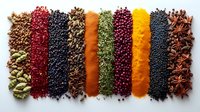 Colorful array of various spices and herbs arranged in neat rows on white background. Cooking ingredients including peppercorns, turmeric, cardamom and star anise.
