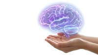 Glowing holographic brain floating above open human hands on white background for medical technology and neuroscience concepts.
