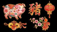 Pig with floral patterns, Chinese lantern, decorative knot, and plum blossoms with firecrackers isolated on transparent background. Ready for t-shirt design, clipart, stickers, sublimation, and print-on-demand products.