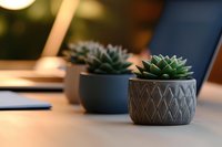 Small succulent plants in decorative ceramic pots on wooden desk surface creating modern minimalist home office workspace decor for productivity and wellness.