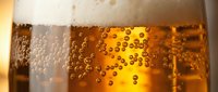 Closeup of golden beer with foam head and carbonation bubbles, suitable for beverage advertising, brewery marketing, and hospitality design projects.
