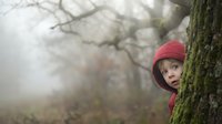 Young girl with fair skin and light hair wearing a red cap peeking around moss-covered tree trunk in misty forest setting. Suitable for children's book illustrations, seasonal campaigns, and nature-themed designs.