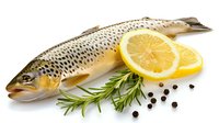 Fresh raw trout with lemon slices, rosemary sprigs and black peppercorns on white background, ready for cooking healthy seafood dinner.